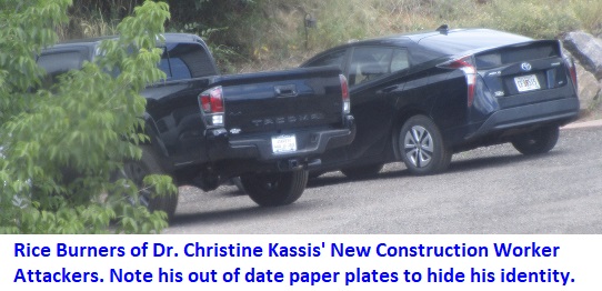 dr-christine-kassis-attackers-cars-sep2022.jpg