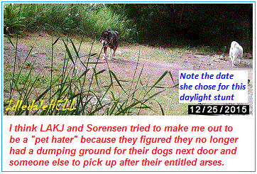 animal-control-obsessed-leslie5.gif