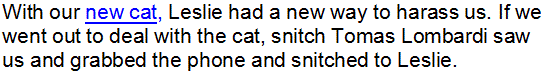 cat-harassment-kelli-yun-tomas-lombardi-call-ken-leslie.gif