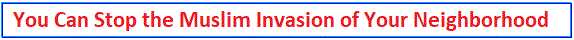 index-muslim-invasion.gif