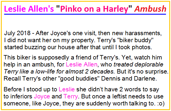 lakjs-ambushes-poh-pinko-on-a-harley.gif