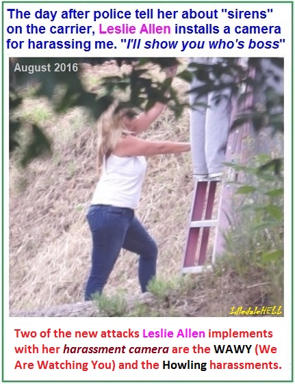 leslie-allen-installs-camera-to-harass-conservative-southerners.jpg