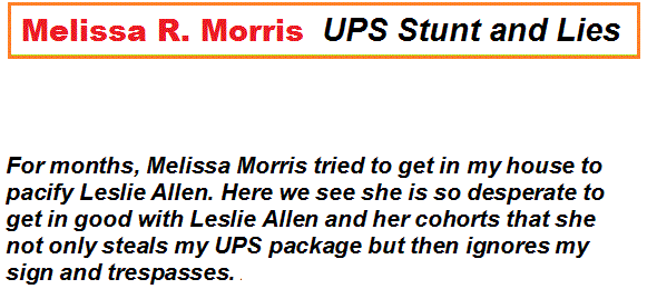 melissa-r-morris-ups-stunt-and-lies.gif