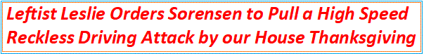 taylor-sorensen-reckless-driving-attack-thanksgiving.gif